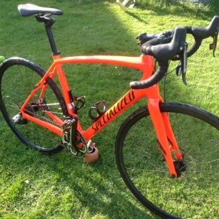 specialized hotwalk 12