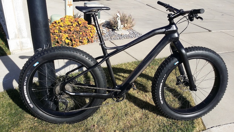 carbon fat bike