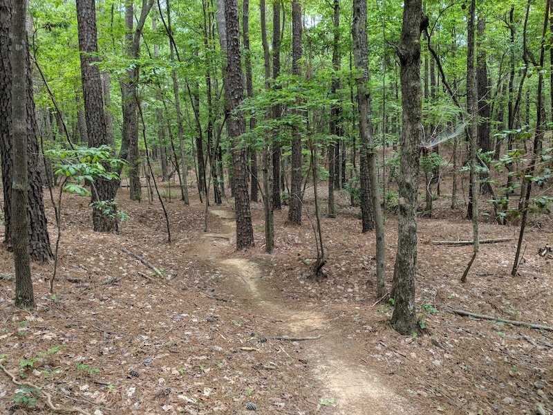 harris lake mountain bike trails