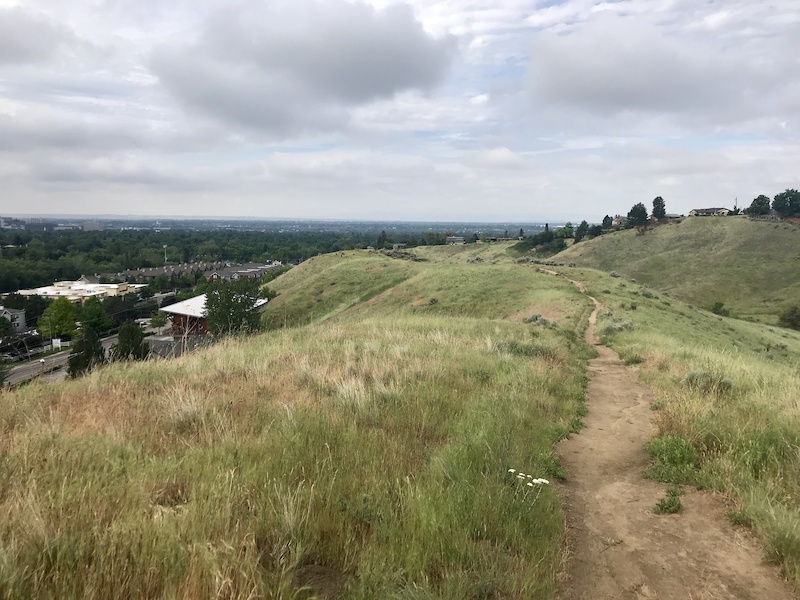 Harrison Ridge Mountain Biking Trail Boise, Idaho