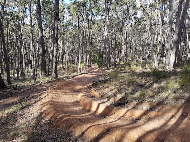 A Beautiful Hill Mountain Biking Trail Creswick