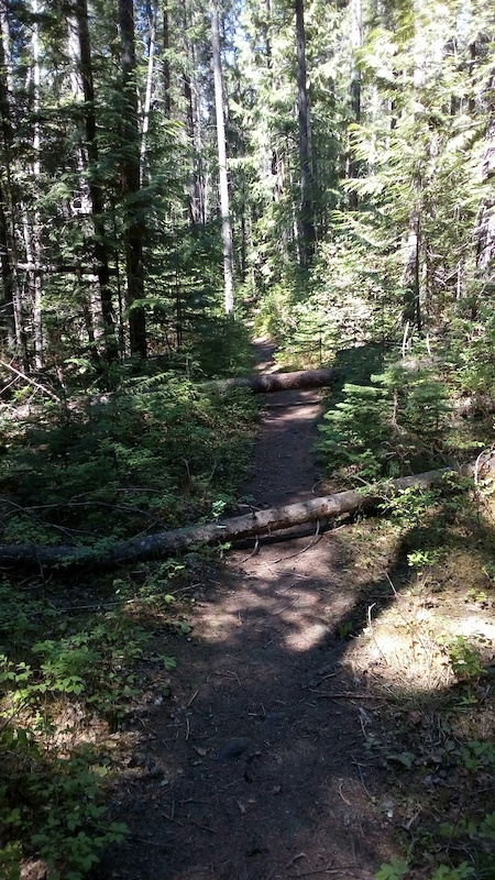 Overlander Falls Trail Mountain Biking Trail - Valemount