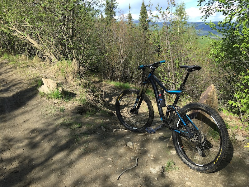 Henderson DropIn Mountain Biking Trail Fairbanks