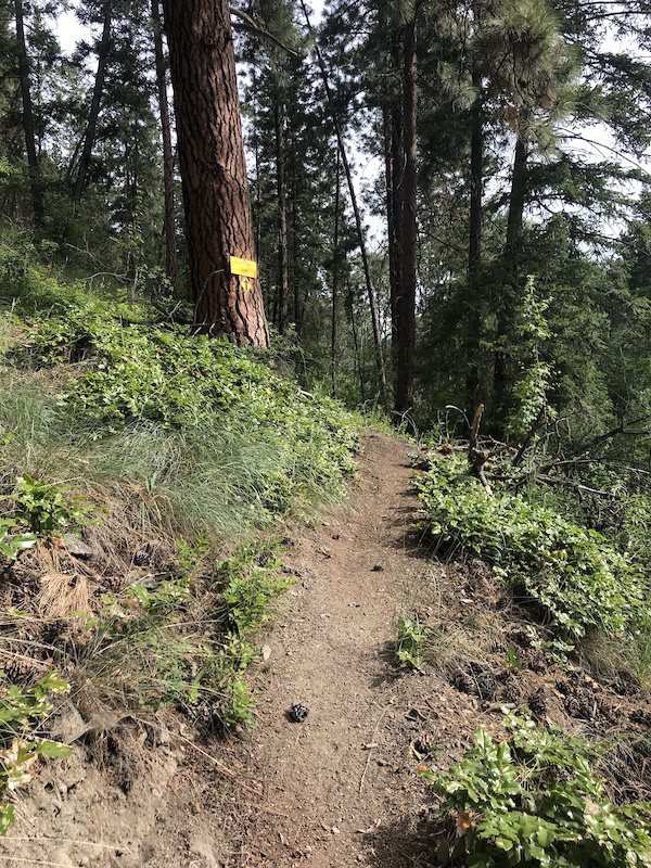 Gladstone Hiking Trail West Kelowna, BC Trailforks