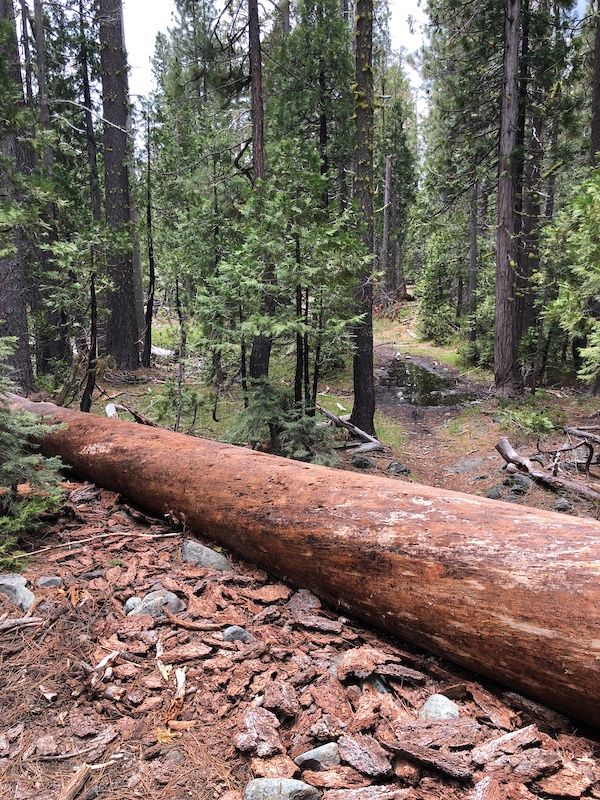 smithville lake mountain bike trails