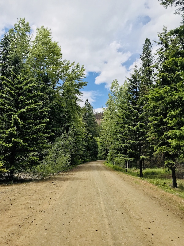 Middle Teanaway Road Multi Trail - Cle Elum, Washington