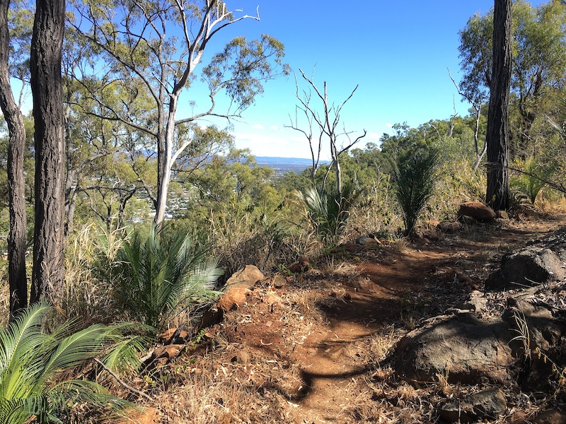 Smoke Screen Mountain Biking Trail Rockhampton