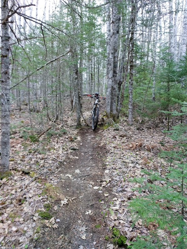 Pine Loop Mountain Biking Trail - Falmouth, Nova Scotia