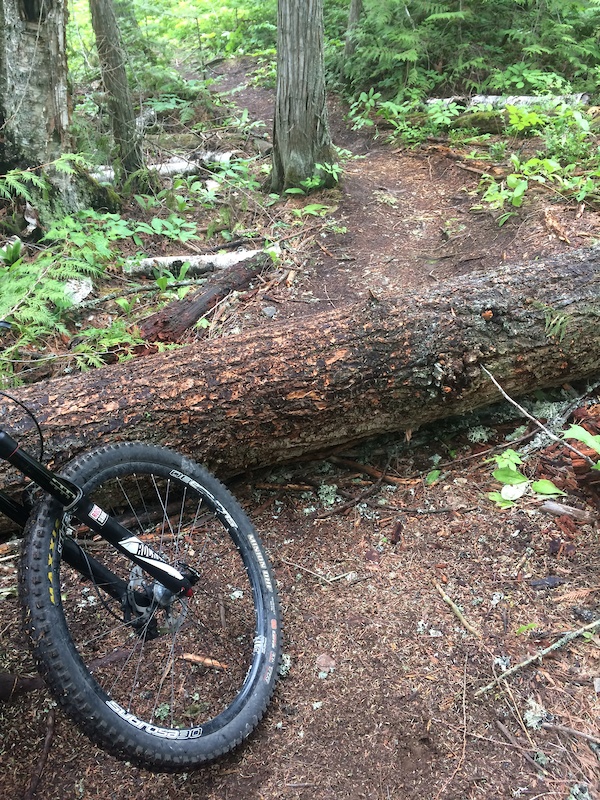 P2 MTB Only Multi Trail Salmon Arm, British Columbia