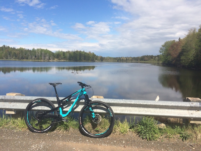 mountain biking olympic peninsula