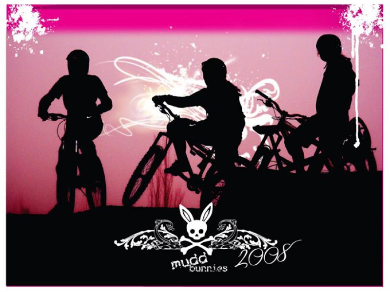 2008 Calendar Cover Art.
