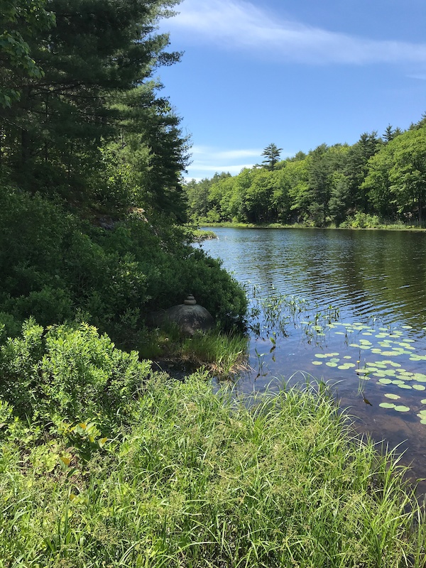 Donkey Punch Mountain Biking Trail - Bath, Maine