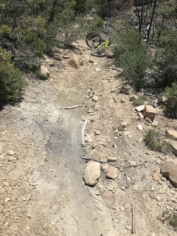 Lower Ghost Flats Mountain Biking Trail Cedar City, UT