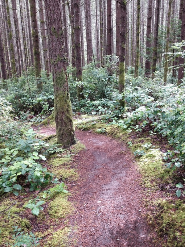 Kitsap County Mountain Biking Trails | Trailforks