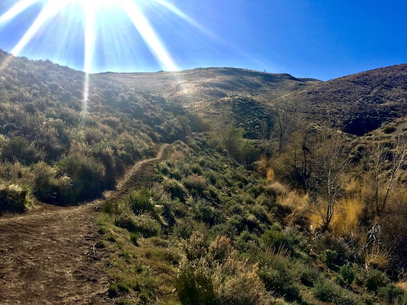 Miner's Trail Mountain Biking Trail Reno, Nevada