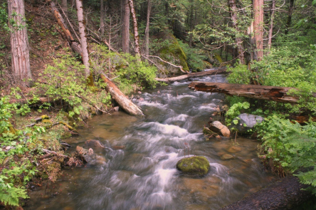 Lewis Creek Trail