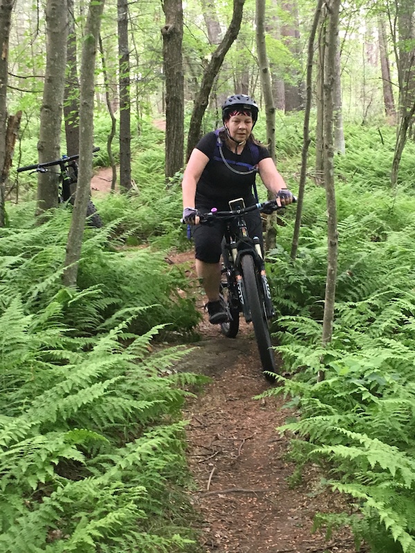 Delta Multi Trail Uxbridge, Massachusetts Trailforks