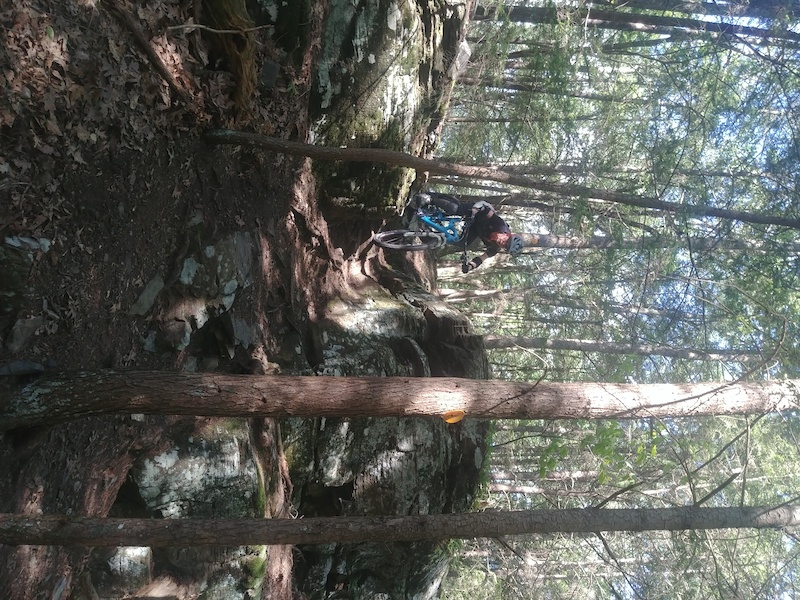 Onteora Lake, Kingston Mountain Biking Trails Trailforks