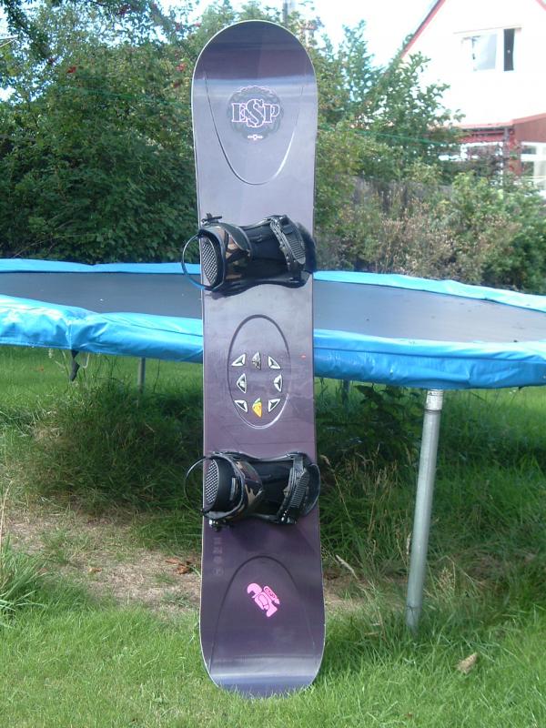 palmer disciple with sp argon bindings