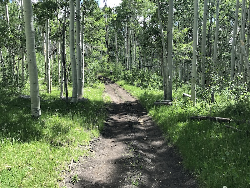 Great Western Trail Gooseberry Ridge Multi Trail Richfield