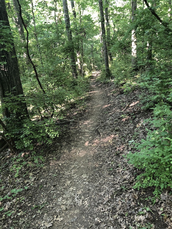 Hookman Hill Mountain Biking Trail - Nashville, Tennessee