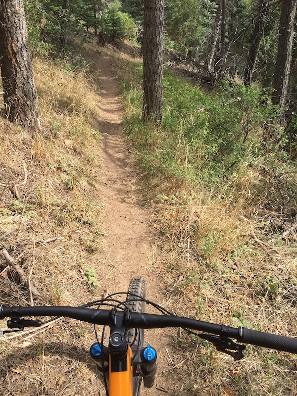 Big creek mountain online bike park