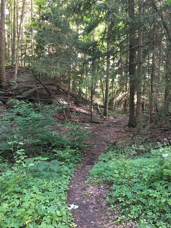 Indian Hollow Reservation Park, Grafton Mountain Biking Trails Trailforks