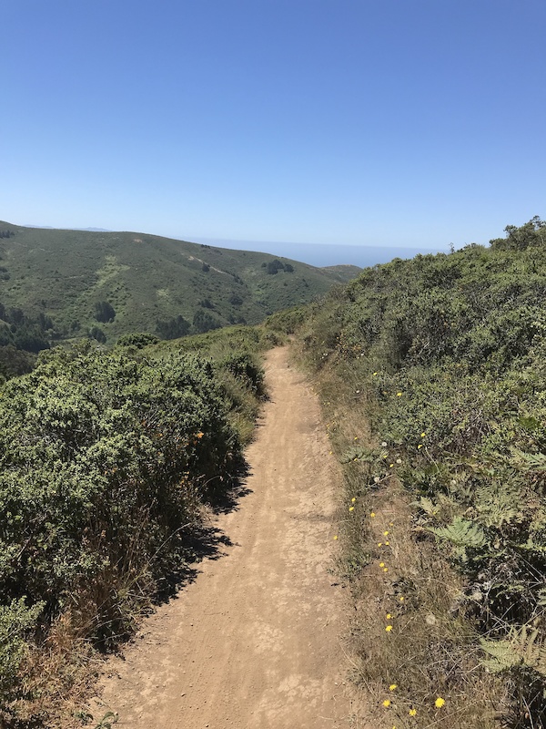 haw ridge mountain biking