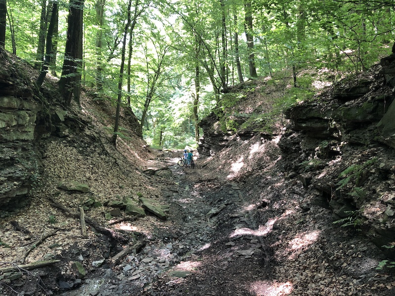 single trail heilbronn