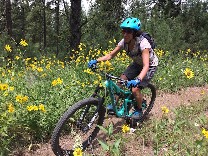 Cascade, Idaho Mountain Biking Trails Trailforks