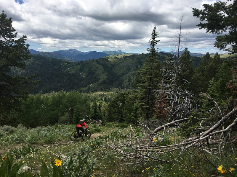 Sheep Driveway Mountain Biking Trail Victor, Idaho