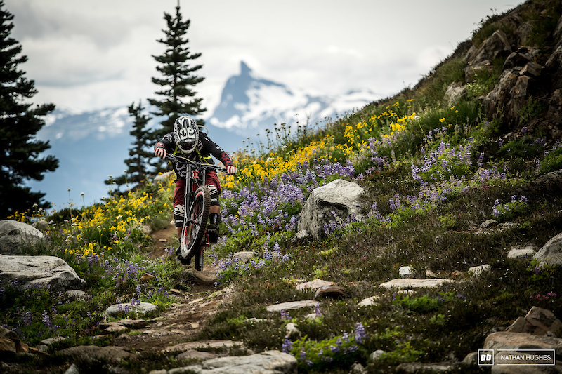 pinkbike drop