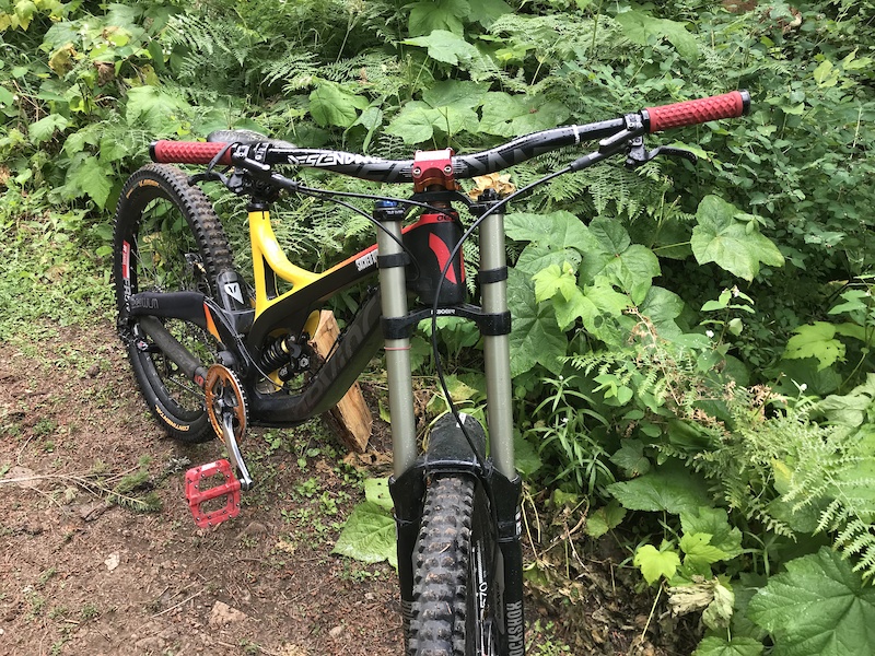 in Winlaw, British Columbia, Canada photo by featherquest Pinkbike