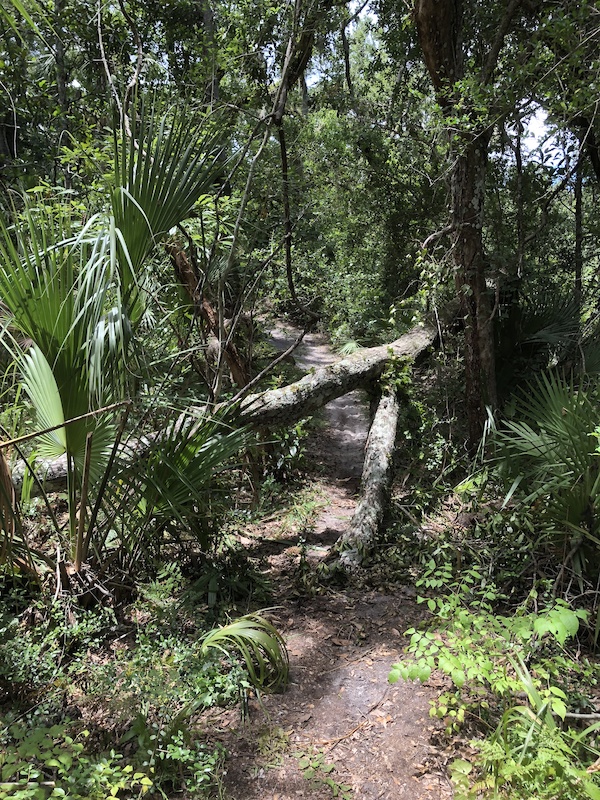 hanna park bike trails