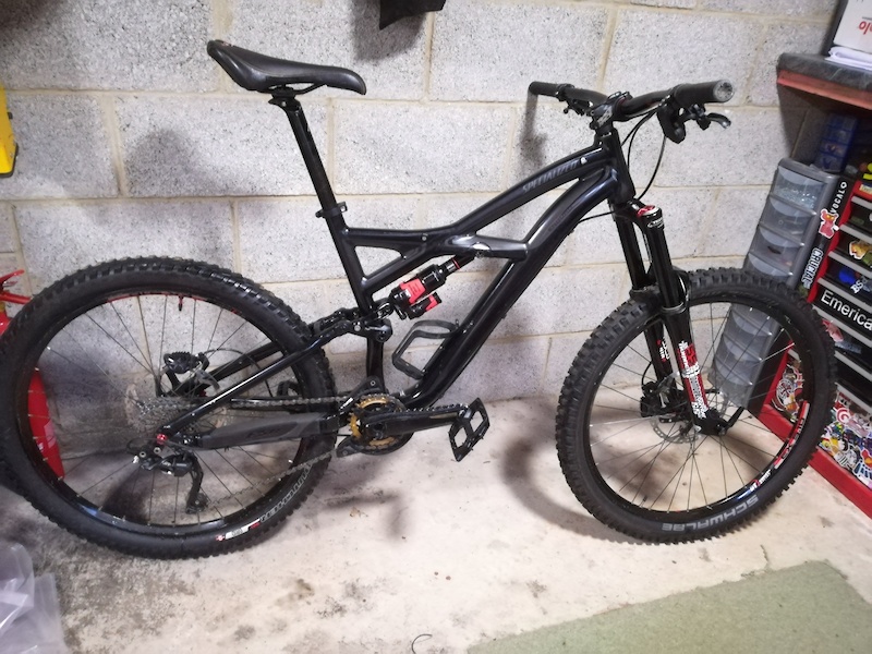 best things to grow in an aerogarden