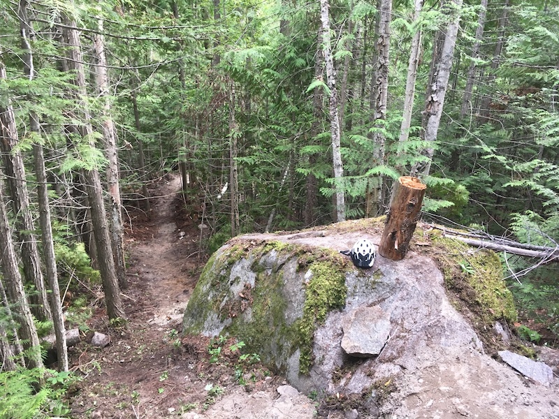 brain-shake-mountain-biking-trail-clearwater-bc