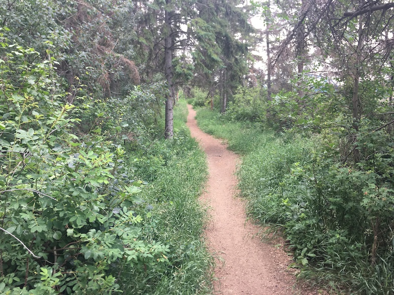 Riverside Golf Course Double Track Mountain Biking Trail Northwest