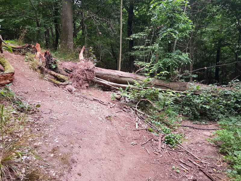 VulkanBike TrailPark (Eifel)