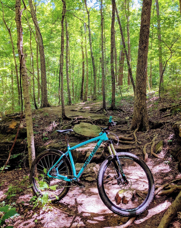 Matson Hill Park Mountain Biking Trails | Trailforks