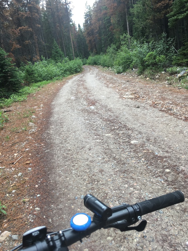 Geraldine Fire Road Multi Trail Jasper, Alberta