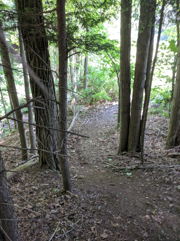 sprague brook mountain biking