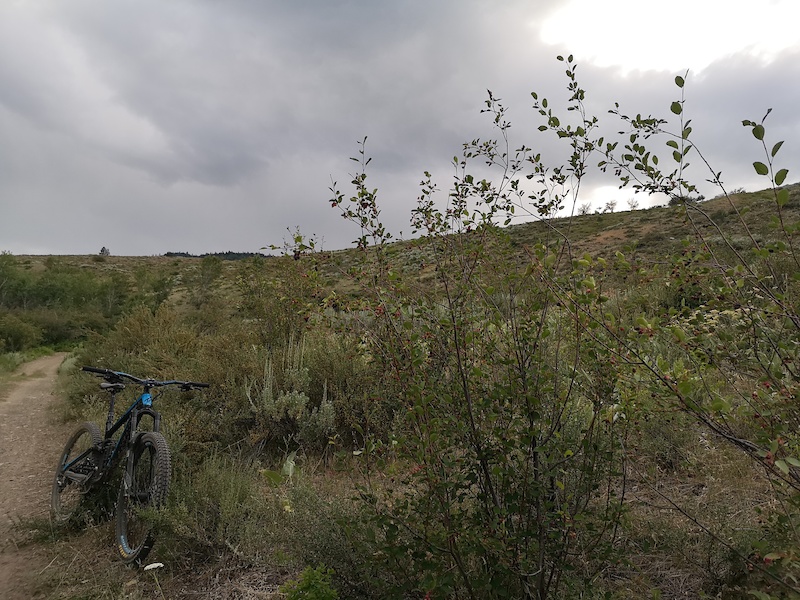 Winthrop Trail Mountain Biking Trail Winthrop, WA