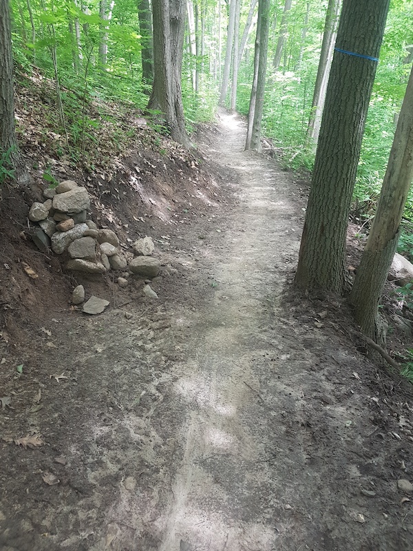 Cardinal Way Mountain Biking Trail Batawa, Ontario