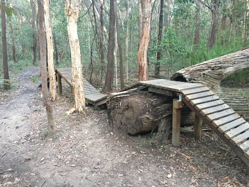 Sugarbag Road, Caloundra Mountain Bike Trails | Trailforks