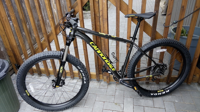 used cannondale cujo