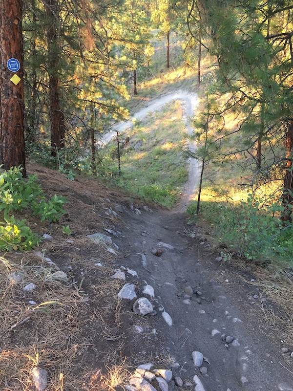 Okanagan SW Three Blind Mice Classic Mountain Biking Route Trailforks