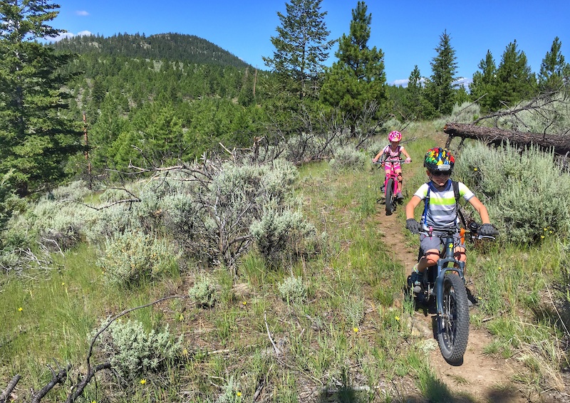 Road Runner Mountain Biking Trail Kamloops, BC