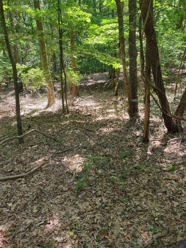 Thompson Park Mountain Biking Trail - Jamesburg, NJ