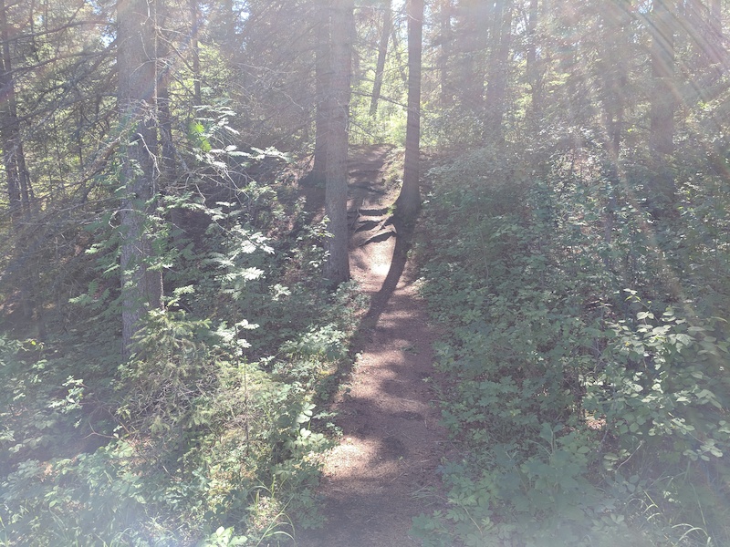 Chutes and Ladders Mountain Biking Trail Prince Albert