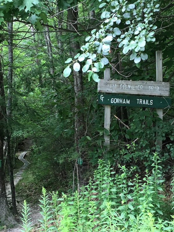 PumpHouse trail Mountain Biking Trail Gorham, Maine
